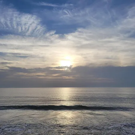 アパート T2 Proche Aux Phoques Avec Parking *